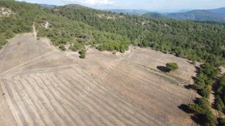 SAKARYA GEYVE GÜNHOŞLAR DA ACİL SATILIK 16 DÖNÜM ARAZİ