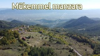 PAMUKOVA KADIKÖY MAH.8069 M2 FIRSAT ARAZİ