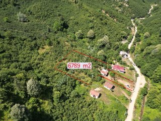 Sessizlik ve Doğa Arayanlara Özel Müstakil Yaşam Fırsatı