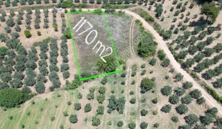 Geyve Doğan Tepede 1170 m2 Hobi Bahçesi