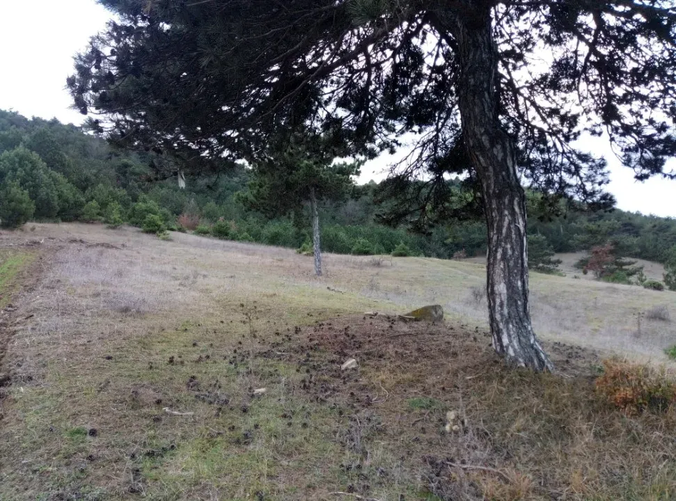 GEYVE AKDOĞAN KÖYÜNDE YATIRIMLIK 4842 m2 HESAPLI MANZARALI ARAZİ