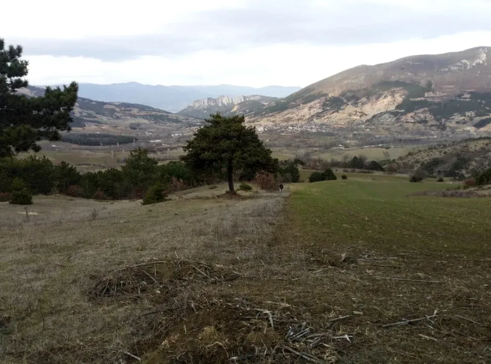 GEYVE AKDOĞAN KÖYÜNDE YATIRIMLIK 4842 m2 HESAPLI MANZARALI ARAZİ