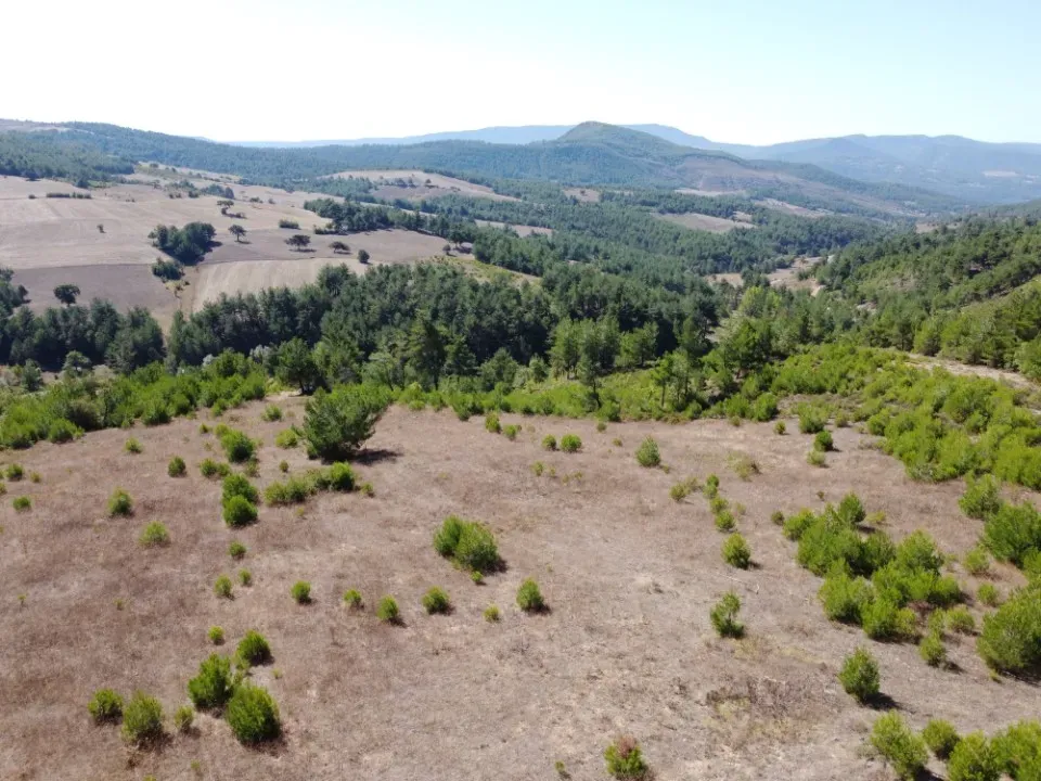 AVCI EMLAK’TAN GEYVE ÇAMLIK KÖYÜNDE YATIRIMLIK 2090 m2 MANZARALI ARAZİ