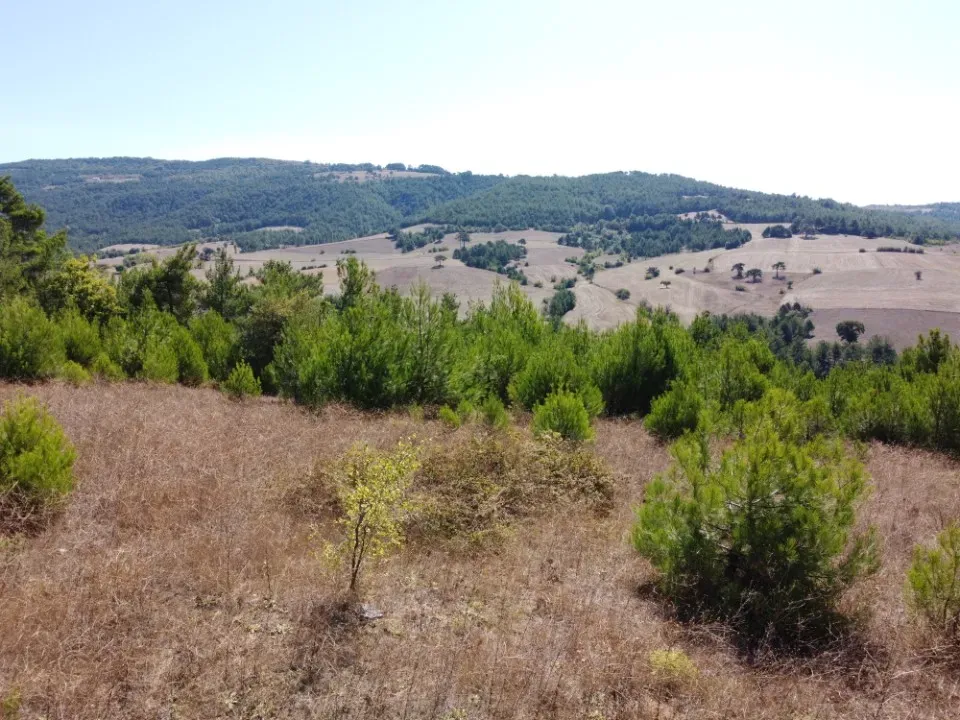 AVCI EMLAK’TAN GEYVE ÇAMLIK KÖYÜNDE YATIRIMLIK 2090 m2 MANZARALI ARAZİ