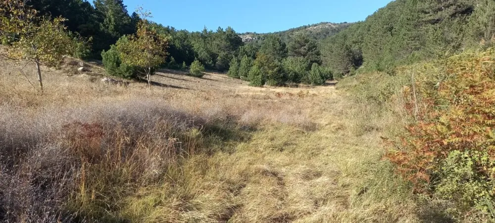 AVCI EMLAKTAN GEYVE HİSARLIKTA 1350 m2 HESAPLI YATIRIMLIK ARAZİ