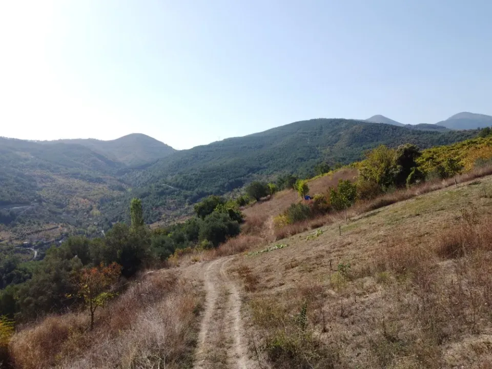 AVCI EMLAK'TAN GEYVE OKUL MAHALLESİ'NDE KONTEYNER İÇİN İDEAL YOL-SU 312 m2 GÜNEY CEPHE MANZARALI