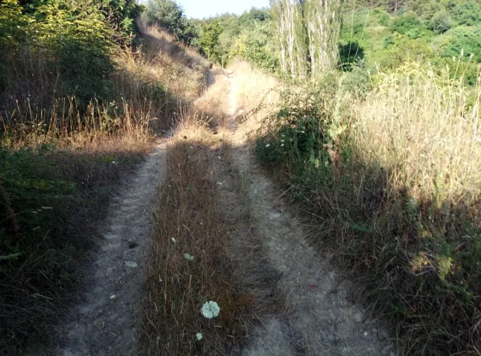 AVCI EMLAK'TAN GEYVE OKUL MAHALLESİ'NDE KONTEYNER İÇİN İDEAL YOL-SU 312 m2 GÜNEY CEPHE MANZARALI