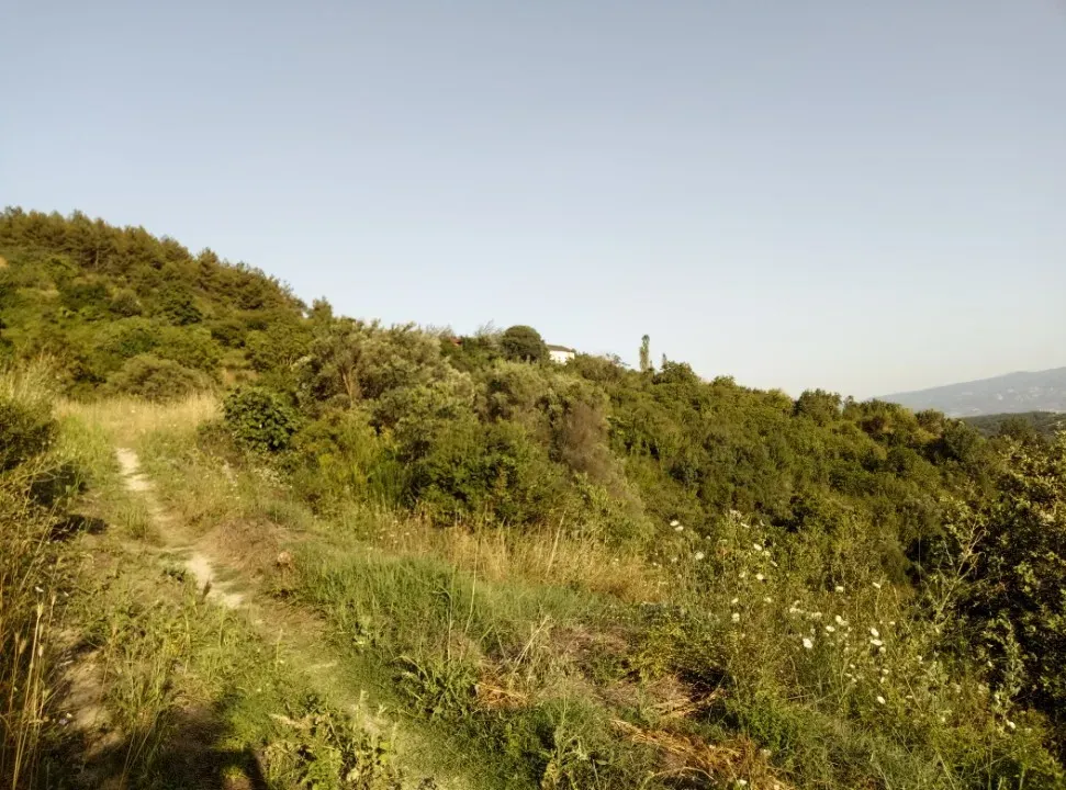 AVCI EMLAK'TAN GEYVE OKUL MAHALLESİ'NDE KONTEYNER İÇİN İDEAL YOL-SU 312 m2 GÜNEY CEPHE MANZARALI