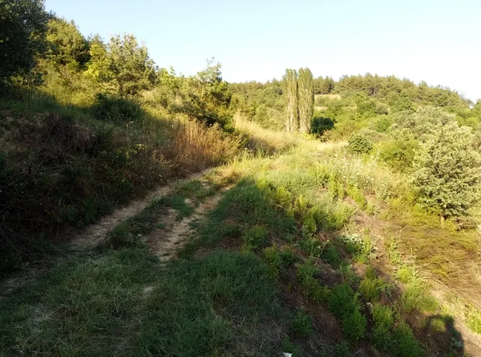 AVCI EMLAK'TAN GEYVE OKUL MAHALLESİ'NDE KONTEYNER İÇİN İDEAL YOL-SU 312 m2 GÜNEY CEPHE MANZARALI