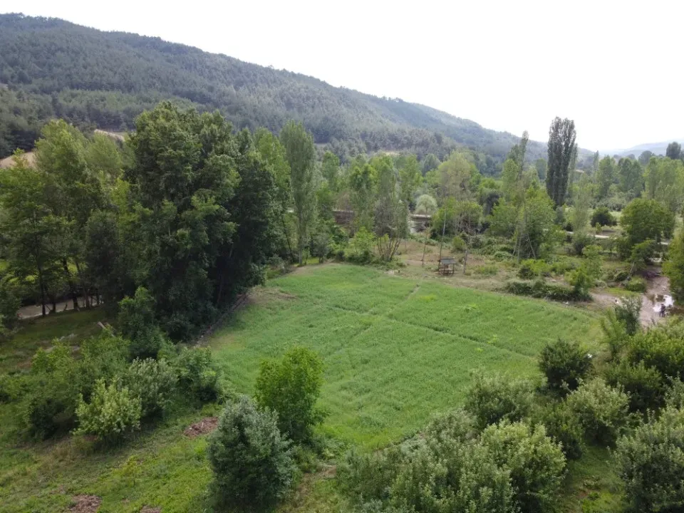 AVCI EMLAK’TAN GEYVE ŞEHREN’DE DERE KENARINDA YOLA CEPHE 1150 m² DÜMDÜZ ARAZİ