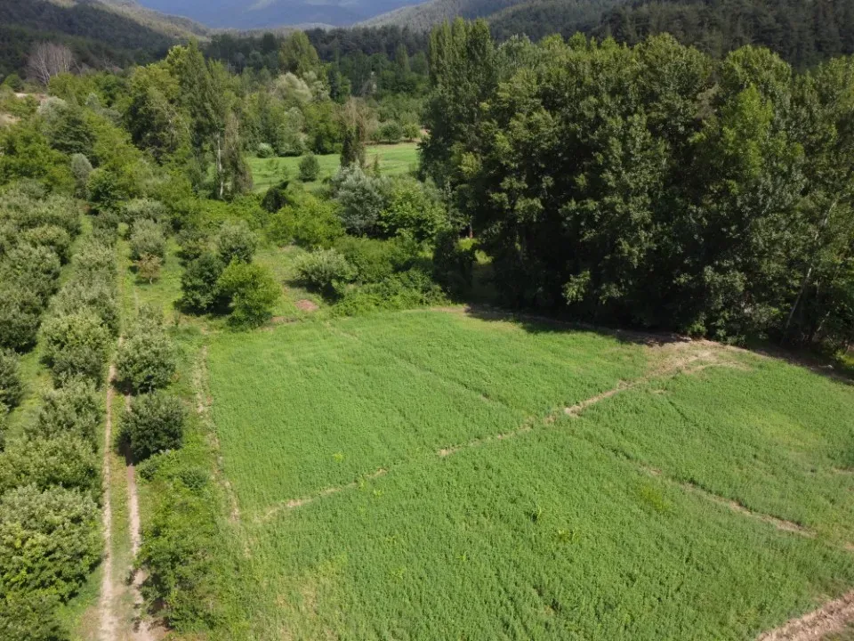 AVCI EMLAK’TAN GEYVE ŞEHREN’DE DERE KENARINDA YOLA CEPHE 1150 m² DÜMDÜZ ARAZİ