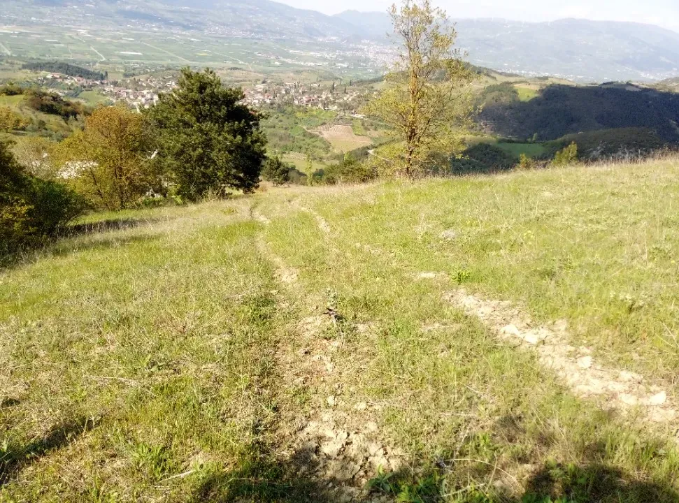 AVCI EMLAK'TAN GEYVE CECELER KÖYÜNDE 6100 m2 MANZARALI, YOL - SU - ELEKTRİK BUNGALOW PROJELİK