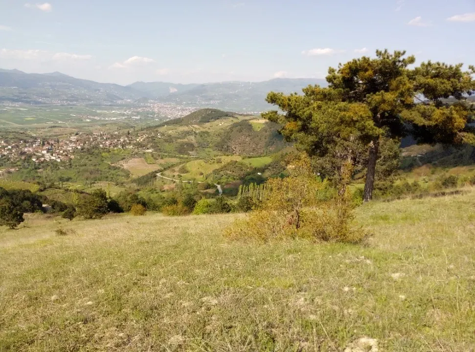 AVCI EMLAK'TAN GEYVE CECELER KÖYÜNDE 6100 m2 MANZARALI, YOL - SU - ELEKTRİK BUNGALOW PROJELİK