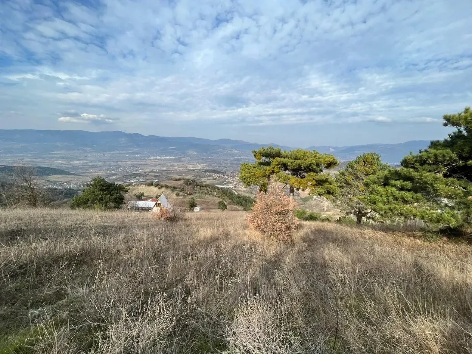 AVCI EMLAK'TAN GEYVE CECELER KÖYÜNDE 6100 m2 MANZARALI, YOL - SU - ELEKTRİK BUNGALOW PROJELİK