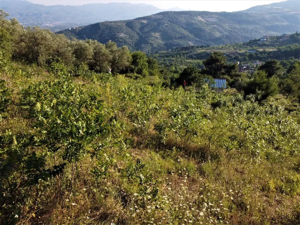 AVCI EMLAK'TAN GEYVE KÖPRÜBAŞI'NDA 1127 m2 MANZARALI TİNY HOUSE VE PREFABRİK İÇİN ARSA