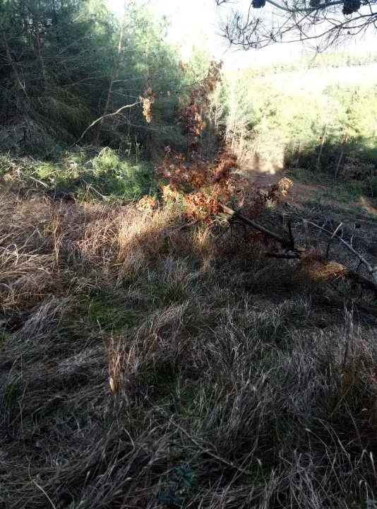 AVCI EMLAK'TAN GEYVE İLÇESİ AHİBABA KÖYÜNDE 740 m2 YATIRIMLIK, MANZARALI, ANA YOLA YAKIN ARAZİ