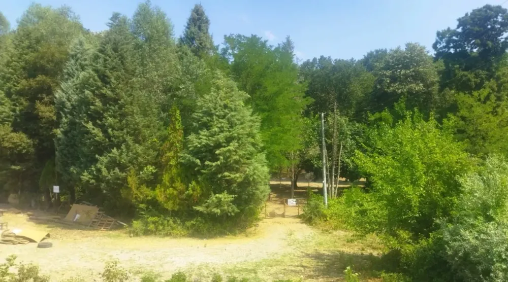 Satılık Mesire Alanı