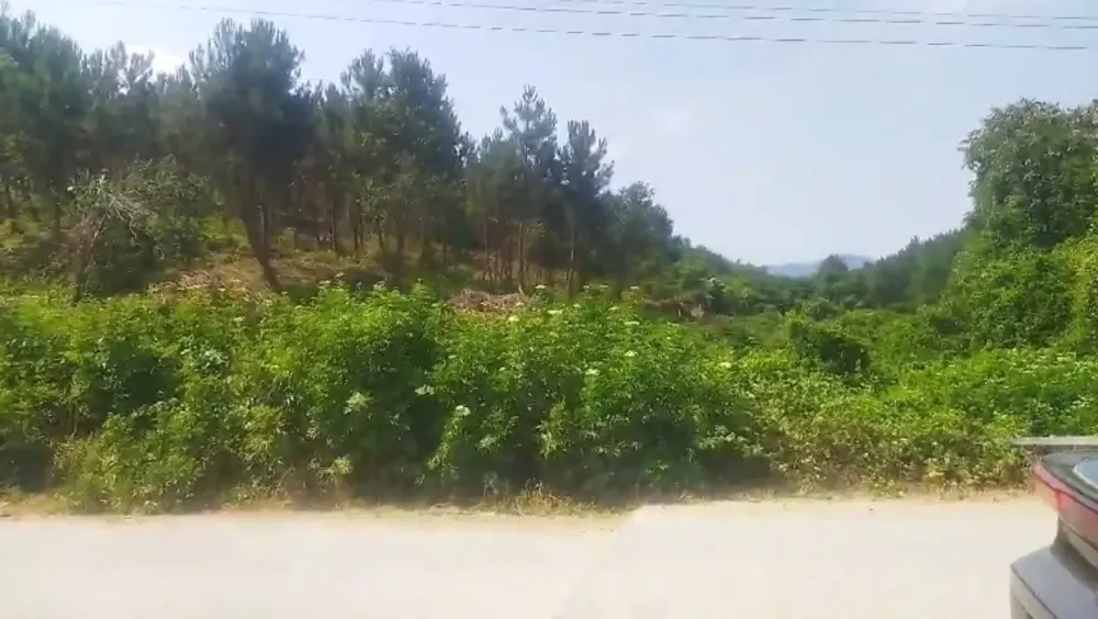 Satılık Mesire Alanı