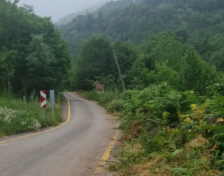 GEYVE KAMIŞLIDA SATILIK FINDIK BAHÇESİ