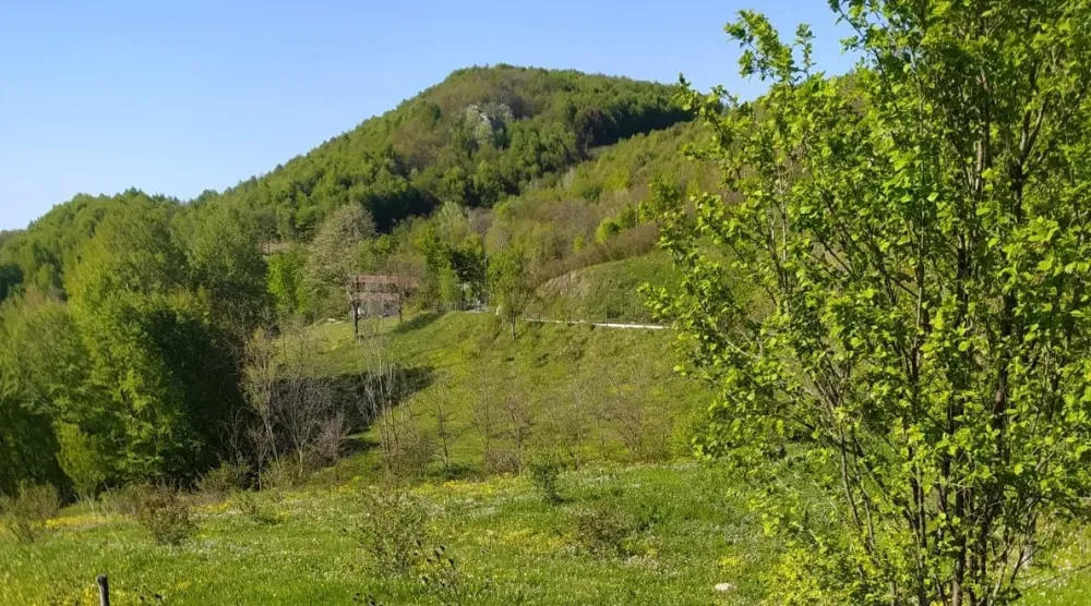 GEYVE KAMIŞLIDA SATILIK  TARLA