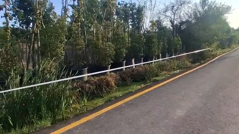 Fidan ve Süs Bitkisi Üretimine Uygun Tarla