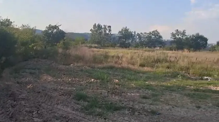 Fidan ve Süs Bitkisi Üretimine Uygun Tarla