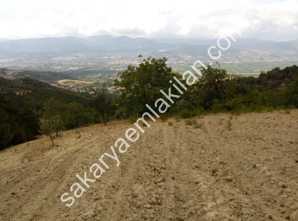 Ceceler Köyünde, (Merkeze 8 km.) 2122 m² - Hesaplı, Panoramik Manzaralı, Ulaşımı Kolay, Ceviz, Kiraz, Zeytin Dikili Bahçe