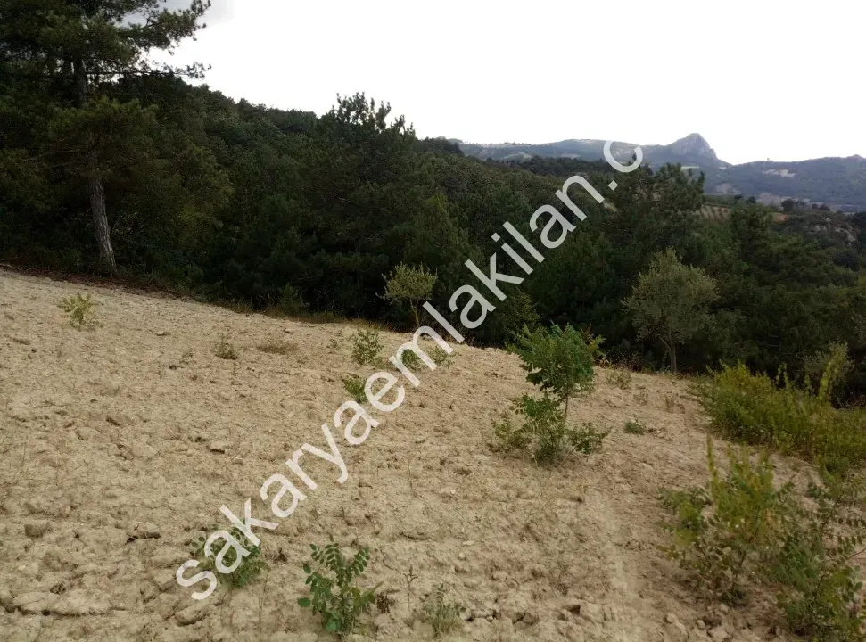 Ceceler Köyünde, (Merkeze 8 km.) 2122 m² - Hesaplı, Panoramik Manzaralı, Ulaşımı Kolay, Ceviz, Kiraz, Zeytin Dikili Bahçe