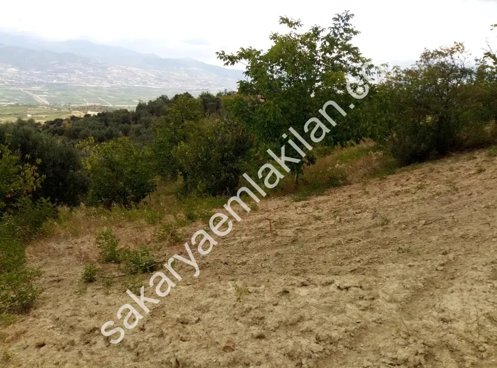 Ceceler Köyünde, (Merkeze 8 km.) 2122 m² - Hesaplı, Panoramik Manzaralı, Ulaşımı Kolay, Ceviz, Kiraz, Zeytin Dikili Bahçe