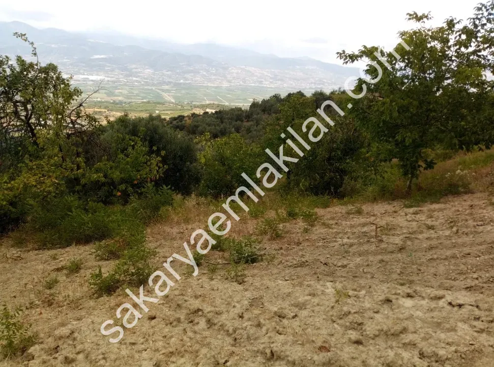 Ceceler Köyünde, (Merkeze 8 km.) 2122 m² - Hesaplı, Panoramik Manzaralı, Ulaşımı Kolay, Ceviz, Kiraz, Zeytin Dikili Bahçe