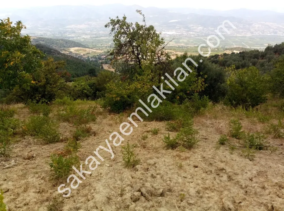 Ceceler Köyünde, (Merkeze 8 km.) 2122 m² - Hesaplı, Panoramik Manzaralı, Ulaşımı Kolay, Ceviz, Kiraz, Zeytin Dikili Bahçe