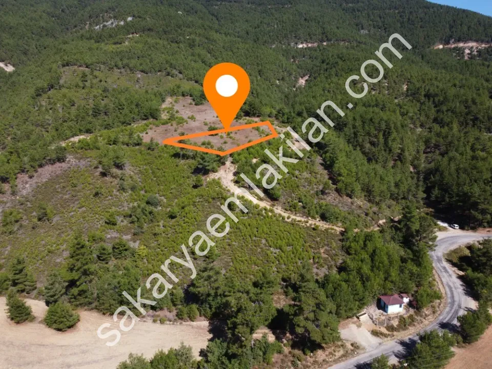 ÇAMLIK 2090 m² PANORAMİK MANZARALI DOĞA İLE İÇ İÇE HOBİ BAHÇELİK