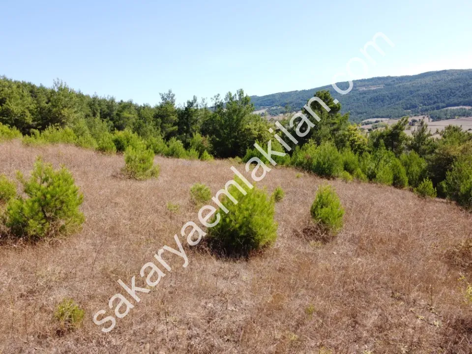 ÇAMLIK 2090 m² PANORAMİK MANZARALI DOĞA İLE İÇ İÇE HOBİ BAHÇELİK