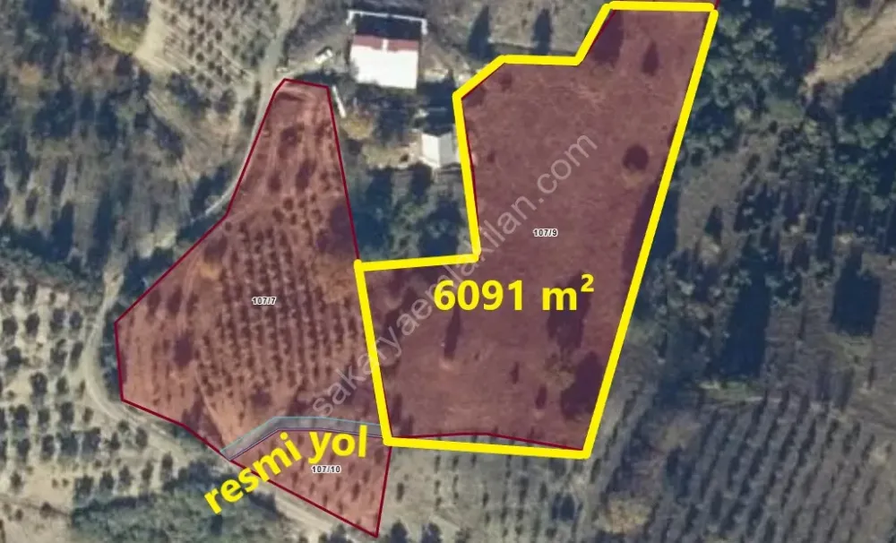 GEYCE CECELER KÖYÜNDE 6089 m² FUL MANZARALI YATIRIM DEĞER, YÜKSEK PROJELİK ARAZİ