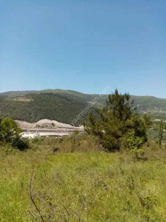 ARAÇ TAKASLI - GEYVE ALİFUATPAŞA'DA 2950 m² MANZARALI HESAPLI ARAZİ
