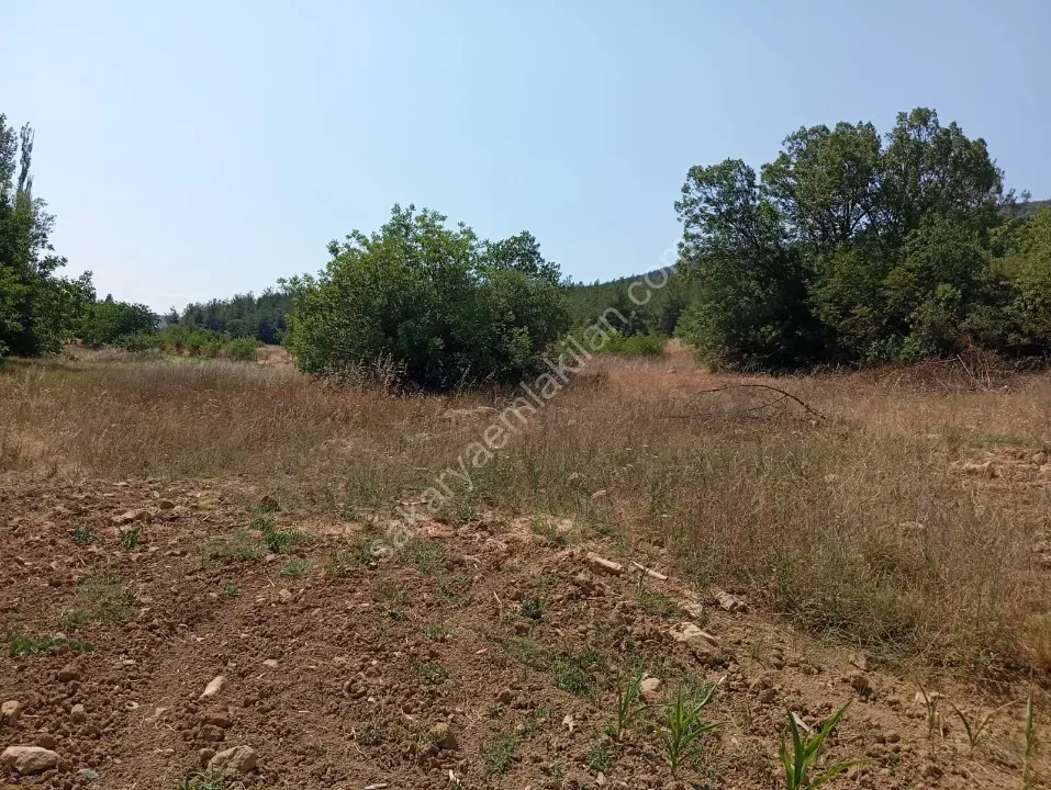 KARACAÖREN'DE SATILIK TARLA