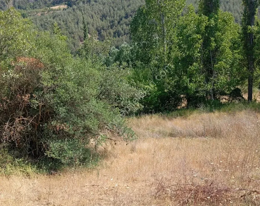 KARACAÖREN'DE SATILIK TARLA