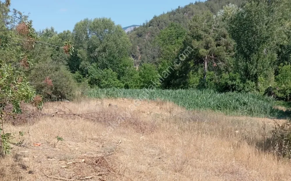 KARACAÖREN'DE SATILIK TARLA