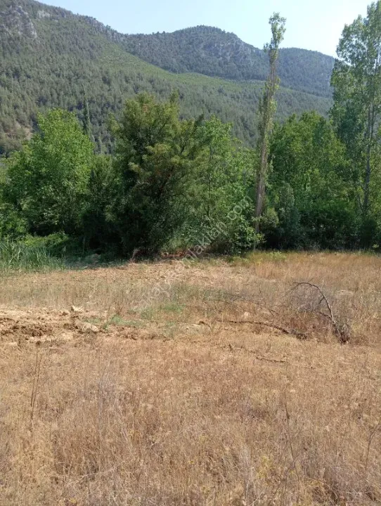 KARACAÖREN'DE SATILIK TARLA