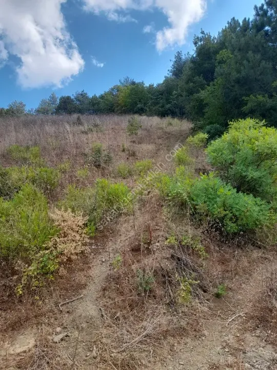 AHİBABA'DA TARIMSAL İMARA UYGUN 6883 m² YATIRIMLIK ARAZİ