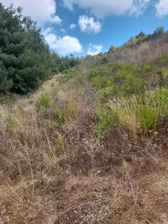 AHİBABA'DA TARIMSAL İMARA UYGUN 6883 m² YATIRIMLIK ARAZİ