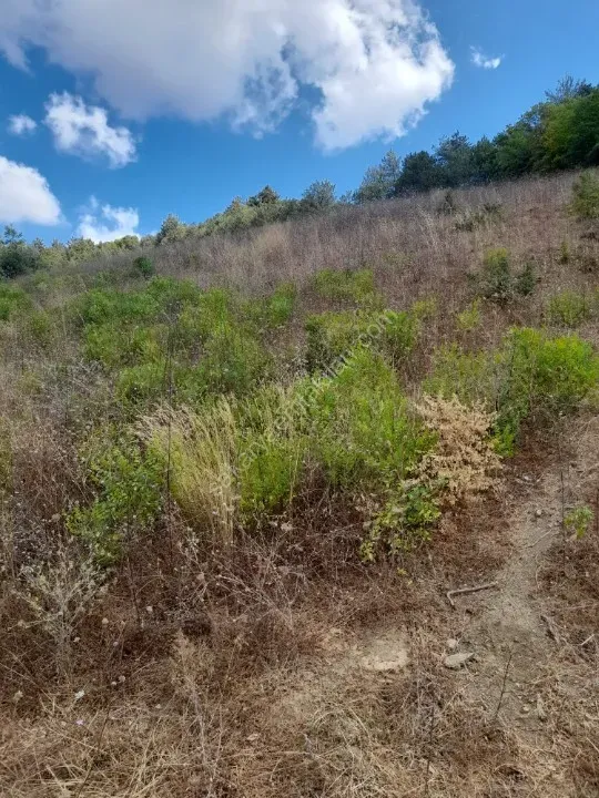 AHİBABA'DA TARIMSAL İMARA UYGUN 6883 m² YATIRIMLIK ARAZİ