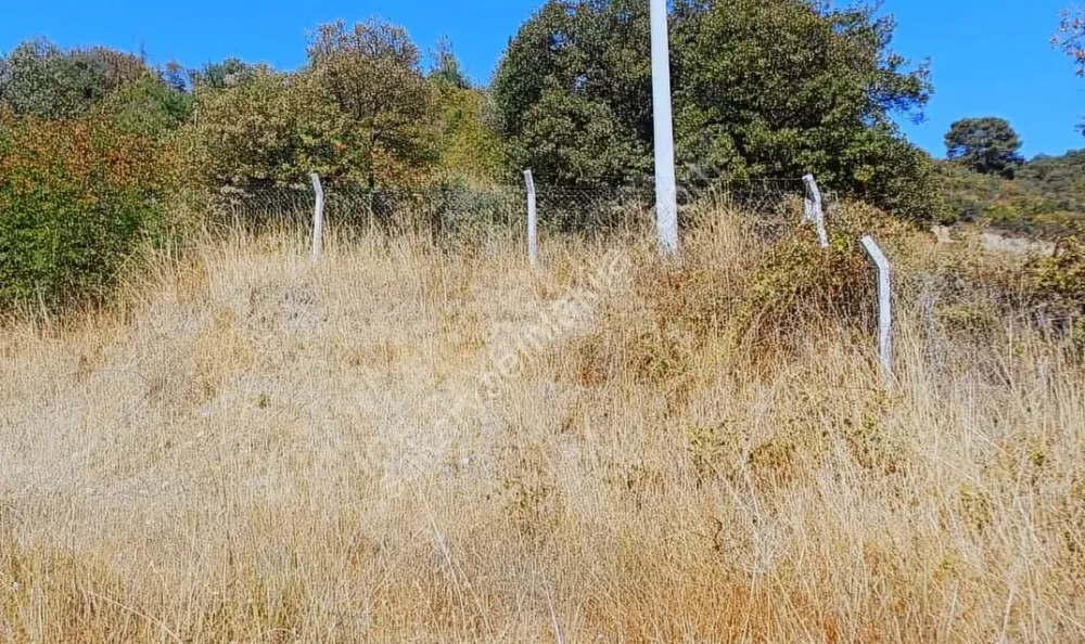 GEYVE DÜZAKÇAŞEHİR'DE 519 m² YATIRIM DEĞERİ YÜKSEK BÖGEDE İMARLI ARSA