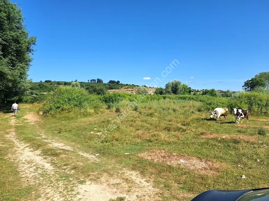 KARASU KUZULUK MAHALLESİNDE SATILIK 7.170 M2 TARLA