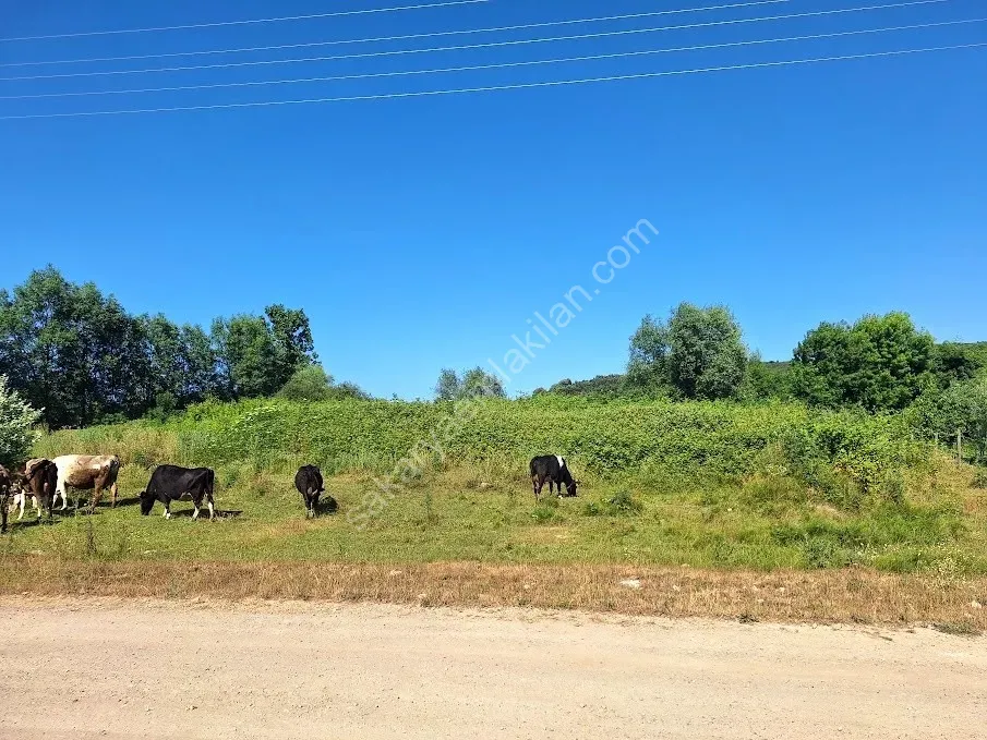 KARASU KUZULUK MAHALLESİNDE SATILIK 7.170 M2 TARLA