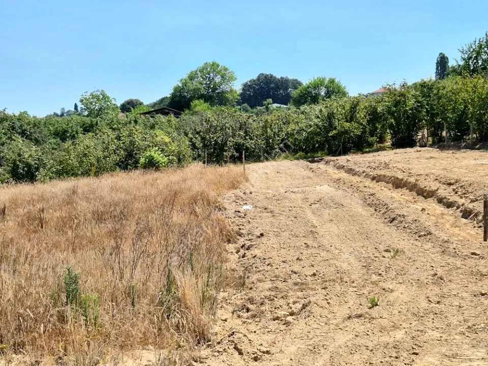 KARASU LİMANDERE MAHALLESİNDE SATILIK ARSA