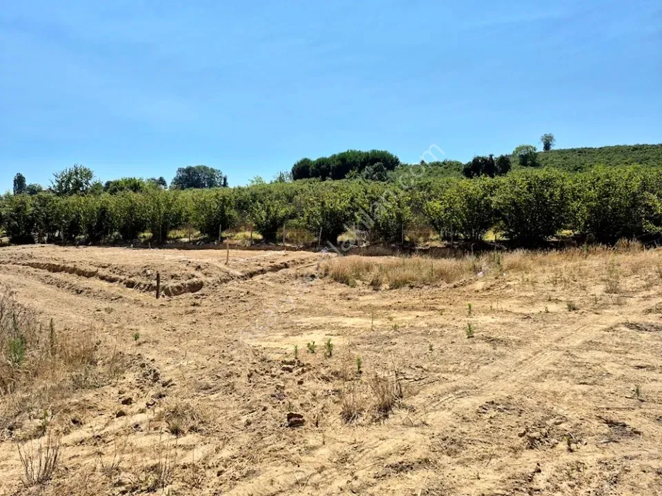 KARASU LİMANDERE MAHALLESİNDE SATILIK ARSA