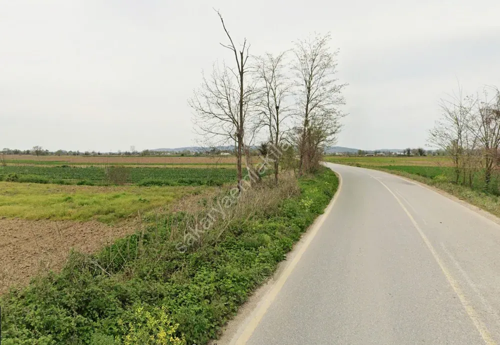 ADAPAZARI ÇÖKEKLER MAHALLESİNDE SATILIK TARLA