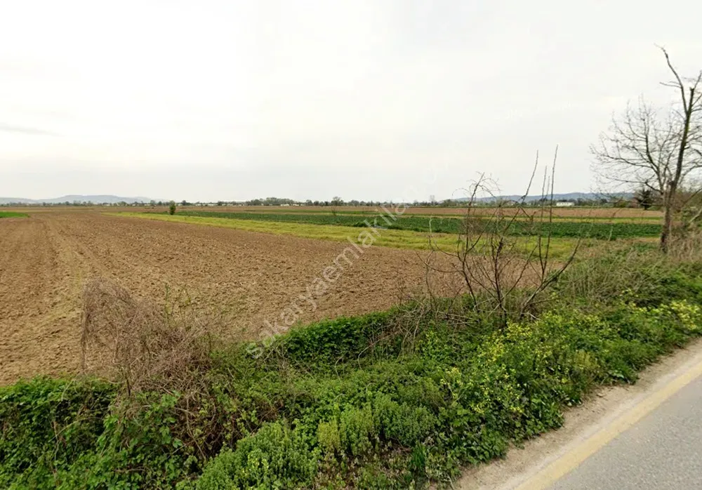 ADAPAZARI ÇÖKEKLER MAHALLESİNDE SATILIK TARLA