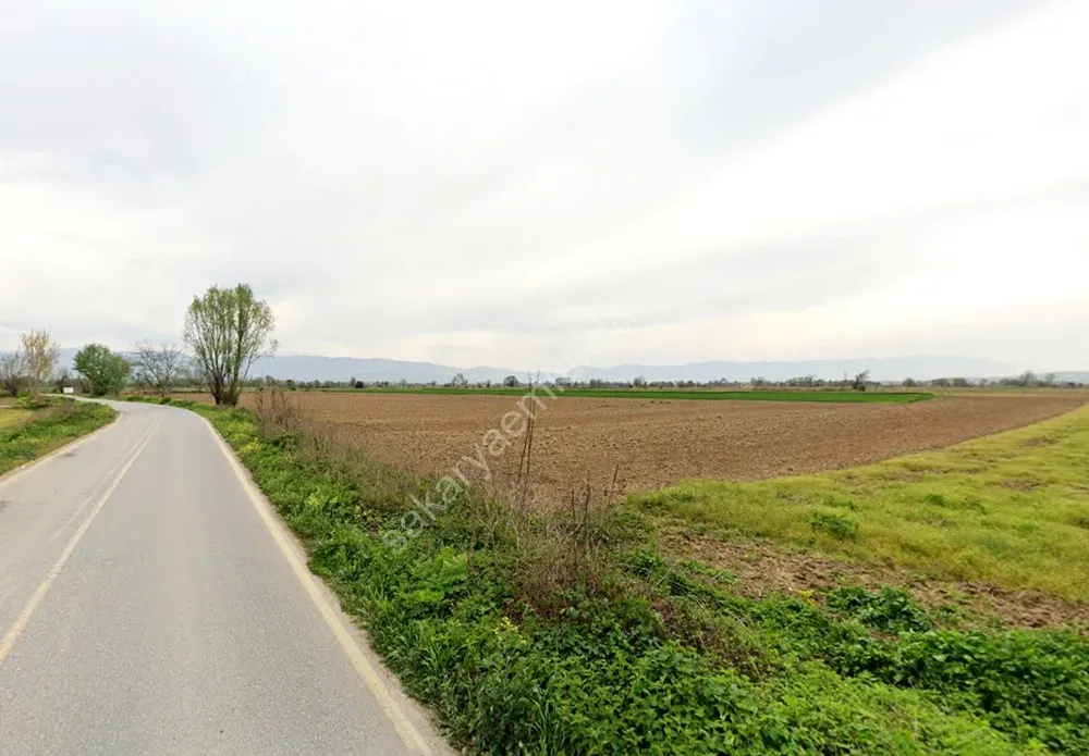 ADAPAZARI ÇÖKEKLER MAHALLESİNDE SATILIK TARLA